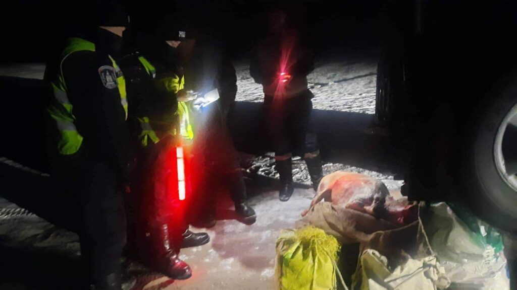 This image has an empty alt attribute; its file name is 04-1024x576.jpg