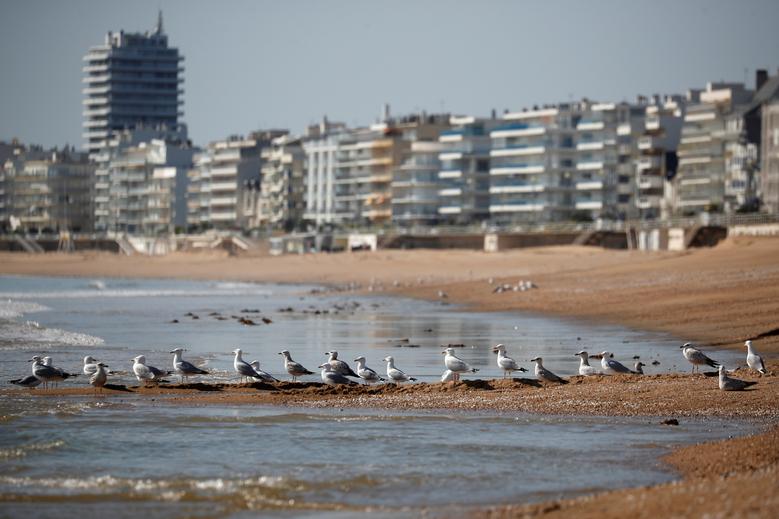 Далайн эрэг дээрх цахлай
Ла Бауле, Франц